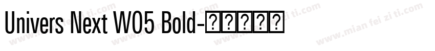 Univers Next W05 Bold字体转换